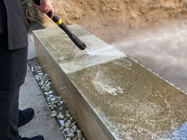 Best Garage Pressure Washing  in Franklin Grove, IL