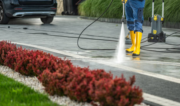 Best Exterior Home Cleaning  in Franklin Grove, IL
