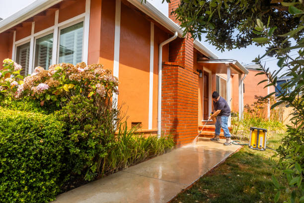 Best Local Pressure Washing Services  in Franklin Grove, IL