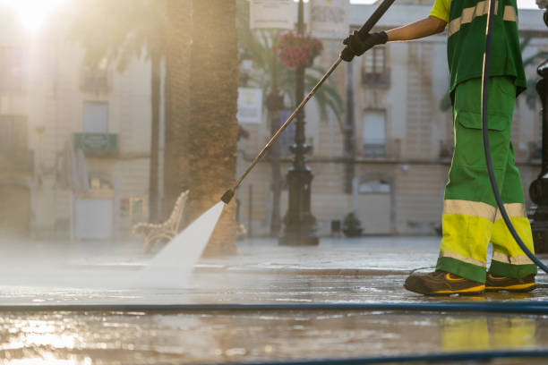 Best Local Pressure Washing Services  in Franklin Grove, IL