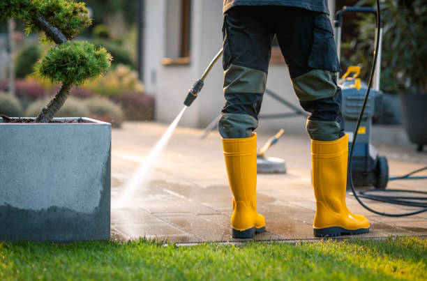 Best Roof Pressure Washing  in Franklin Grove, IL